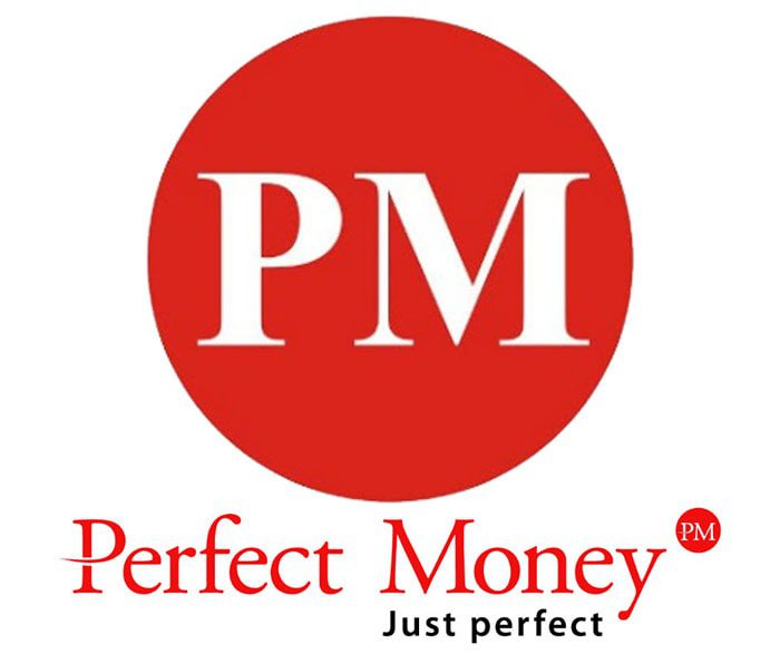 محیط سیستم پرداخت پرفکت مانی در دوره فعالیت