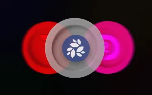 ان کی ان