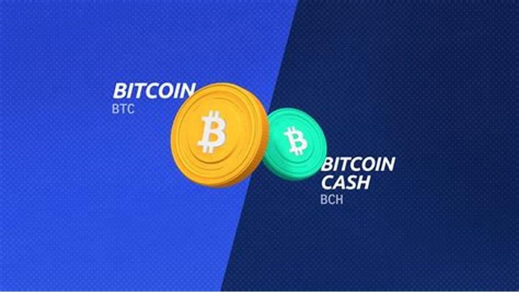 سکه بیت کوین با نماد BTC و سکه بیت کوین کش با نماد BCH روی زمینه آبی
