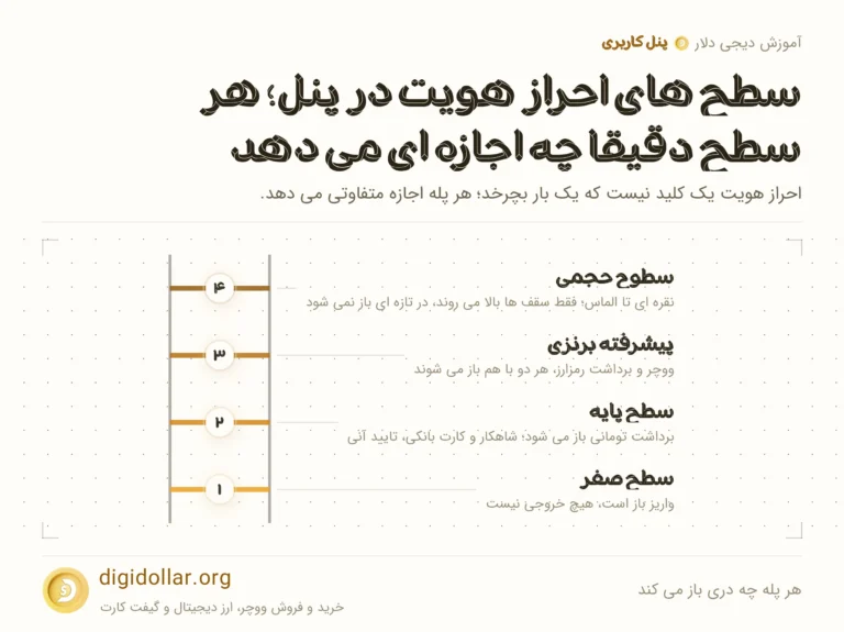 اینفوگرافیک هر پله چه دری باز می کند: سطح صفر، سطح پایه، پیشرفته برنزی، سطوح حجمی