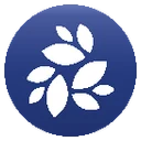 لوگوی ان کی ان