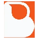لوگوی بایکونومی