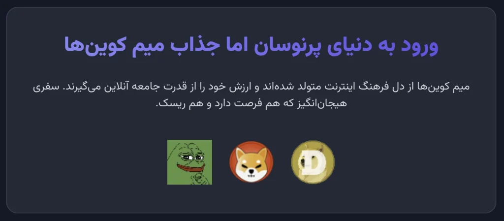 ورود به دنیای پرنوسان اما جذاب میم کوین ها