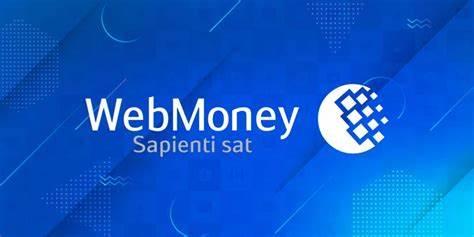 انواع کیف پول های وب مانی و کاربردهای آنها