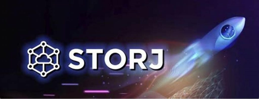استورج چیست و چگونه کار می کند؟
