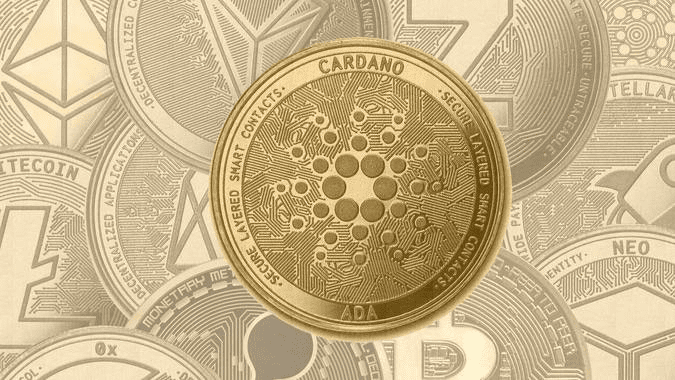چگونه کاردانو بخریم و ذخیره کنیم؟
