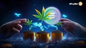 راهنمای استیکینگ سولانا برای مبتدیان