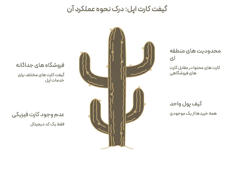 گیفت کارت اپل چگونه کار می کند: کیف پول واحد اپل آیدی، نبود کارت فیزیکی، فهرست جداگانه فروشگاه ها و محدودیت منطقه ای